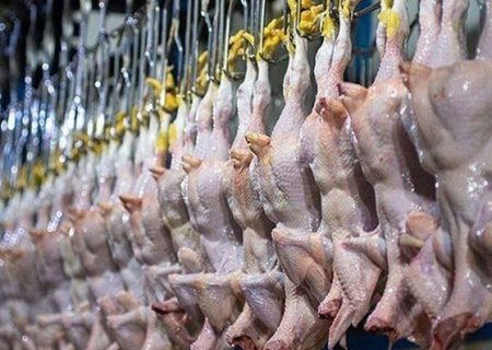 قیمت انواع مرغ ۱۵ مرداد ۱۴۰۵