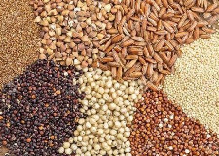 قیمت انواع نهاده های دامی و محصولات کشاورزی ۱۹ مرداد ۱۴۰۵