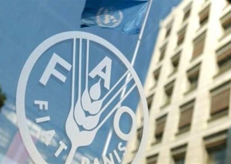 فائو هشدار داد: جهان با افزایش قیمت مواد غذایی مواجه است