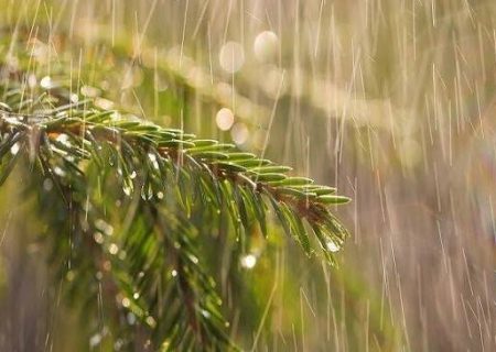 صدور هشدار زرد هواشناسی در فارس