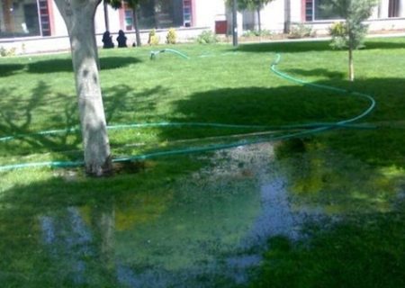 تانکرها در این بوستان، آب را رها می‌کنند و می‌روند