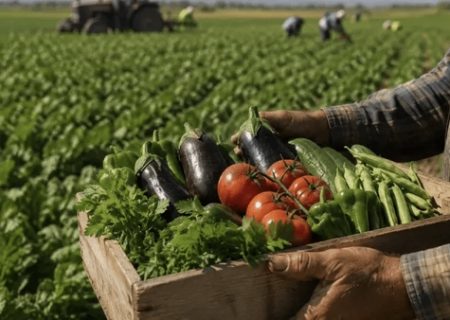 نخبه‌ها برای حذف دلال‌ها از زنجیره غذا گرد هم می‌آیند