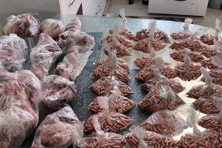 کشف ۲۵ کیلوگرم گوشت کل وحشی از مخفیگاه شکارچی