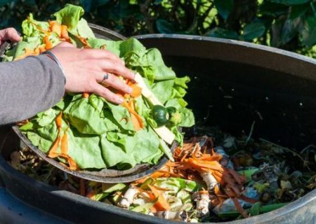 مدیریت دورریز مواد غذایی؛ از بشقاب‌های پاک تا شهرهای پاک