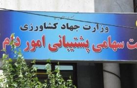 موافقت مجلس با تفحص از عملکرد شرکت سهامی پشتیبانی امور دام