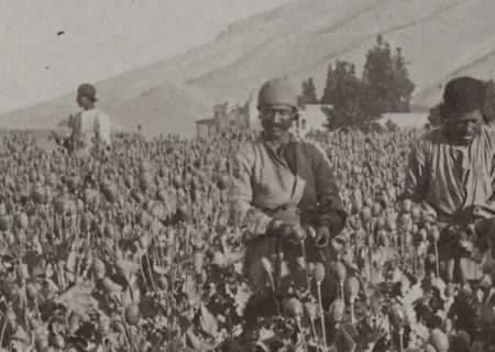 ایرانی ها چطور با تریاک آشنا شدند؟