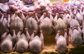 قیمت انواع مرغ ۳ آبان ۱۴۰۵