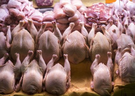 قیمت انواع مرغ ۳ آبان ۱۴۰۵
