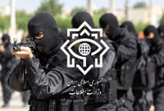 وزارت اطلاعات: ۴ شبکه خرابکاری خیابانی منهدم شدند
